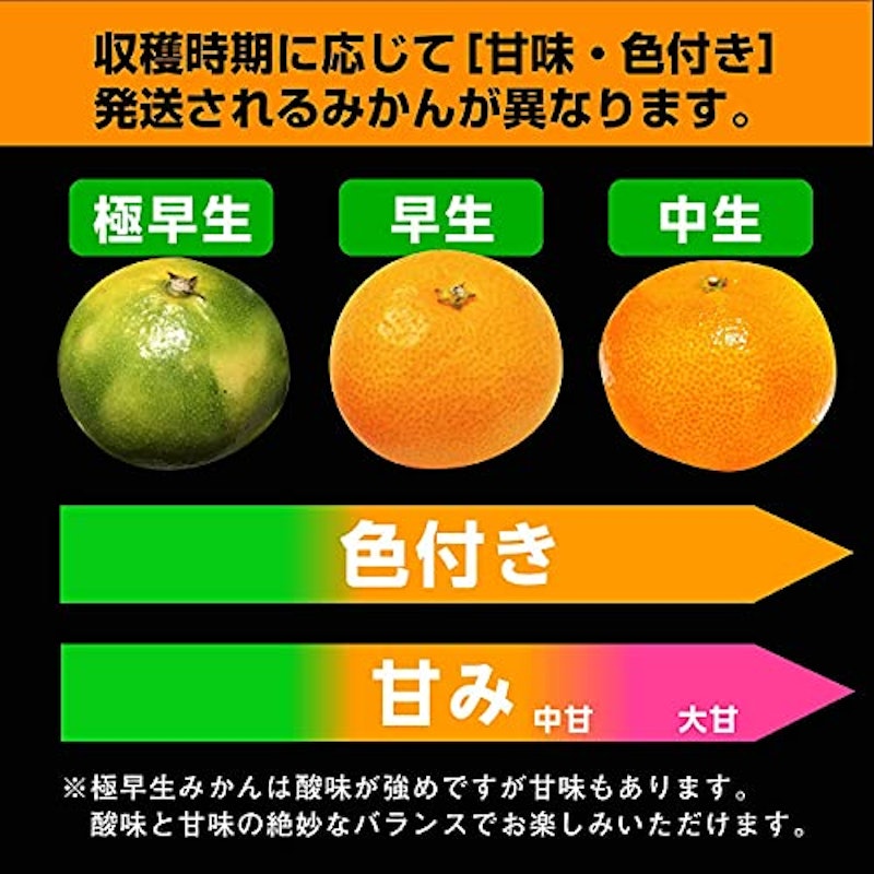 有田みかん 訳あり 4