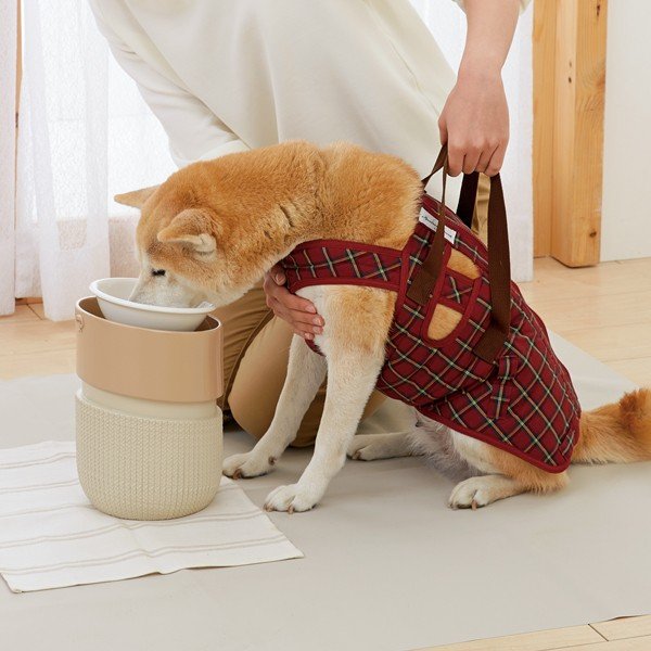 ルルパスタンド 4
