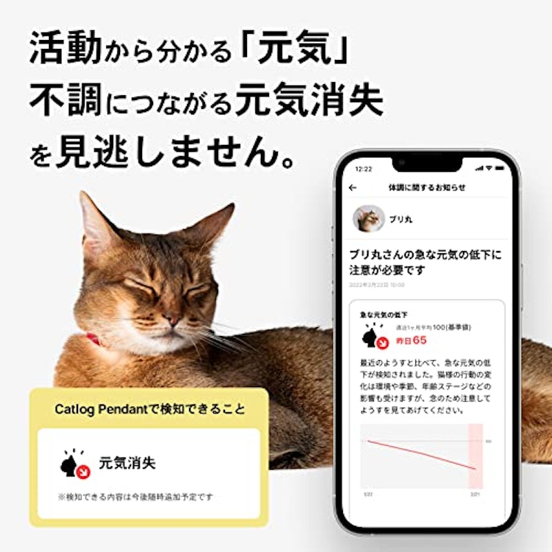 Catlog 4