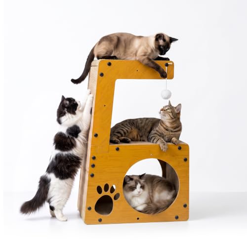 猫 爪研ぎ  1