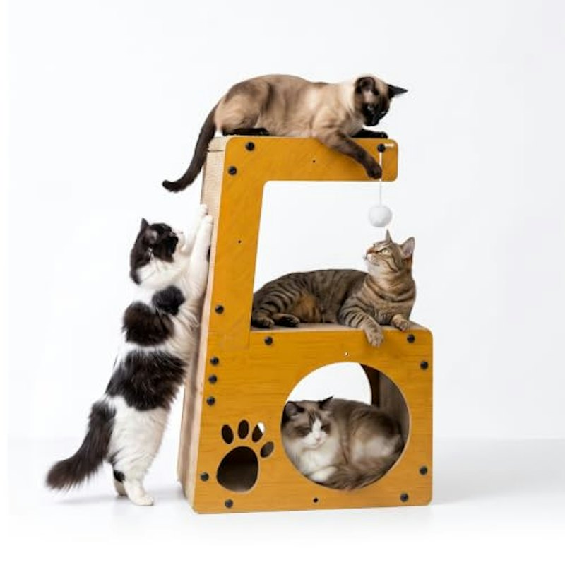 猫 爪研ぎ 1