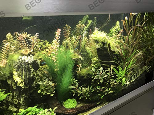 フィッシュタンク人工水草 4
