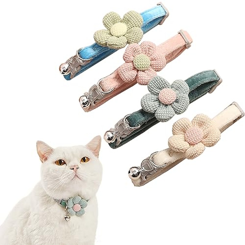 猫の首輪 1