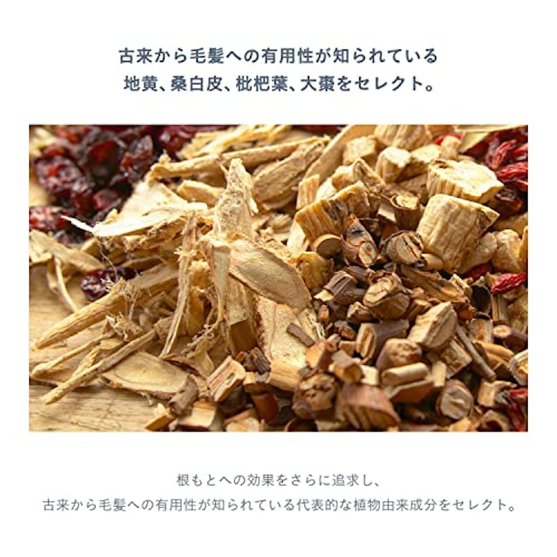 モテラッシュ 5