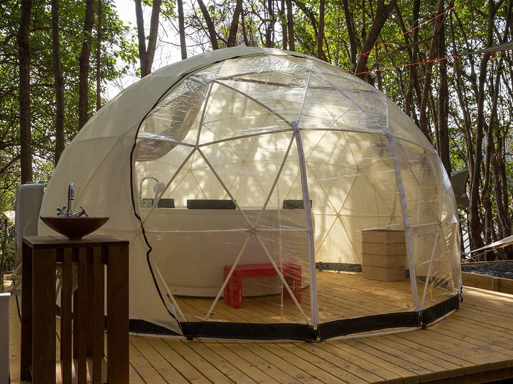 TASO FOREST CAMP 2