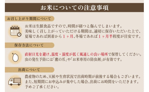 新潟産コシヒカリ 伝 発芽玄米 2