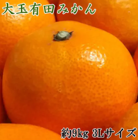 和歌山有田みかん大玉 1