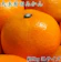 和歌山県那智勝浦町 和歌山有田みかん大玉 1
