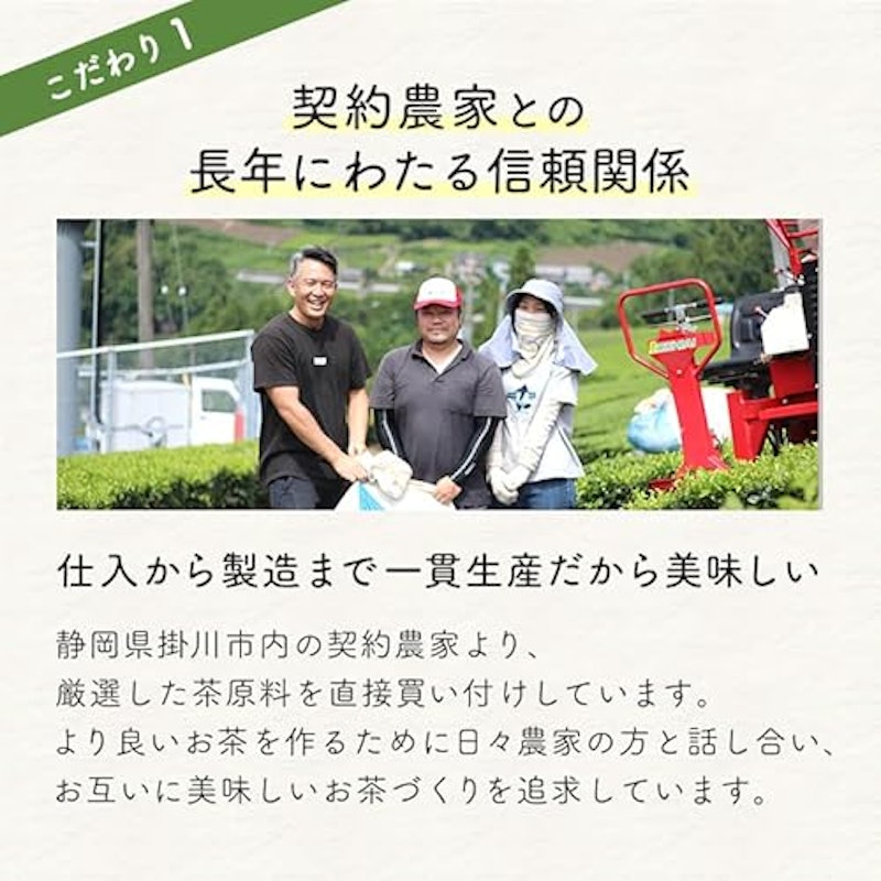 抹茶入り 深蒸し茶 ティーパック 3