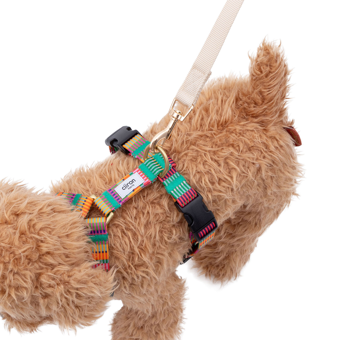 犬用ハーネス 6