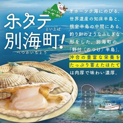 活ホタテ貝 2