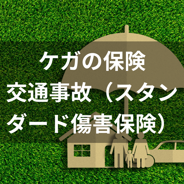 傷害保険のおすすめ人気ランキング10選 21年最新版 Mybest