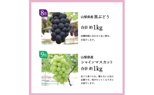 4回お届けフルーツ定期便 6