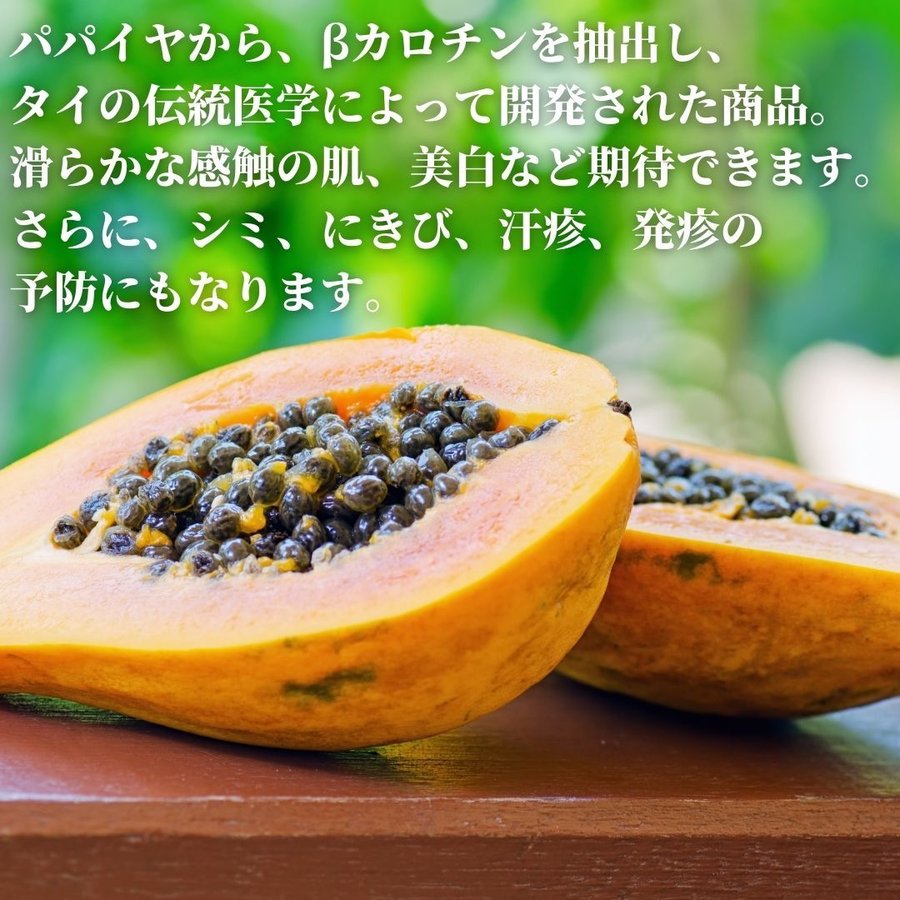 パパイヤ様専用 www.poltekkes-bsi.ac.id