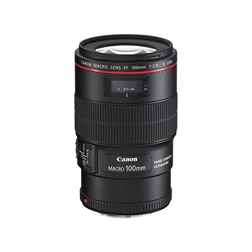 人気2023 キヤノン 中望遠マクロレンズ EF 100mm F2.8 Lマクロ IS USM