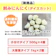 北国お米ショップ 刻みにんにく 1