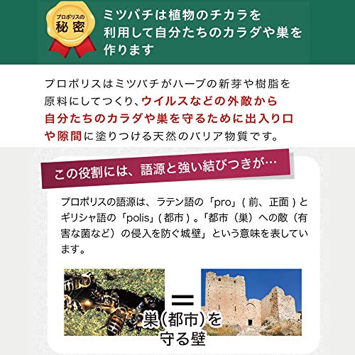 プロポリス300 4