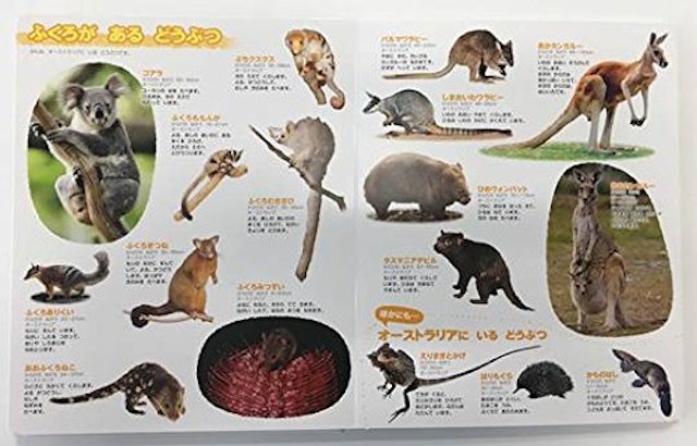 21年 動物 図鑑のおすすめ人気ランキング10選 Mybest 21年 動物 図鑑のおすすめ人気ランキング10選 Mybest