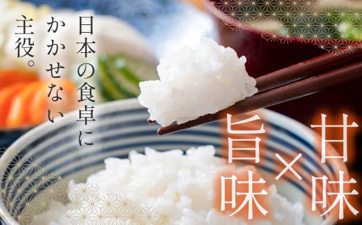 コシヒカリ無洗米 定期便 2