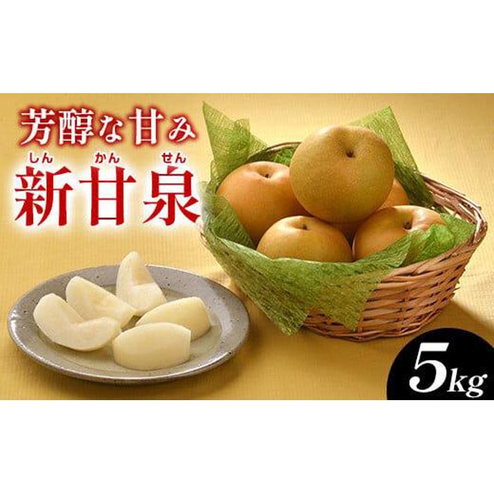 新甘泉 1