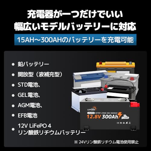 自動パルスバッテリー充電器 3