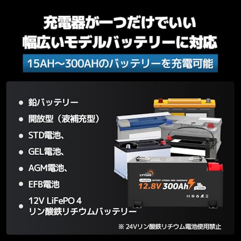 自動パルスバッテリー充電器 3