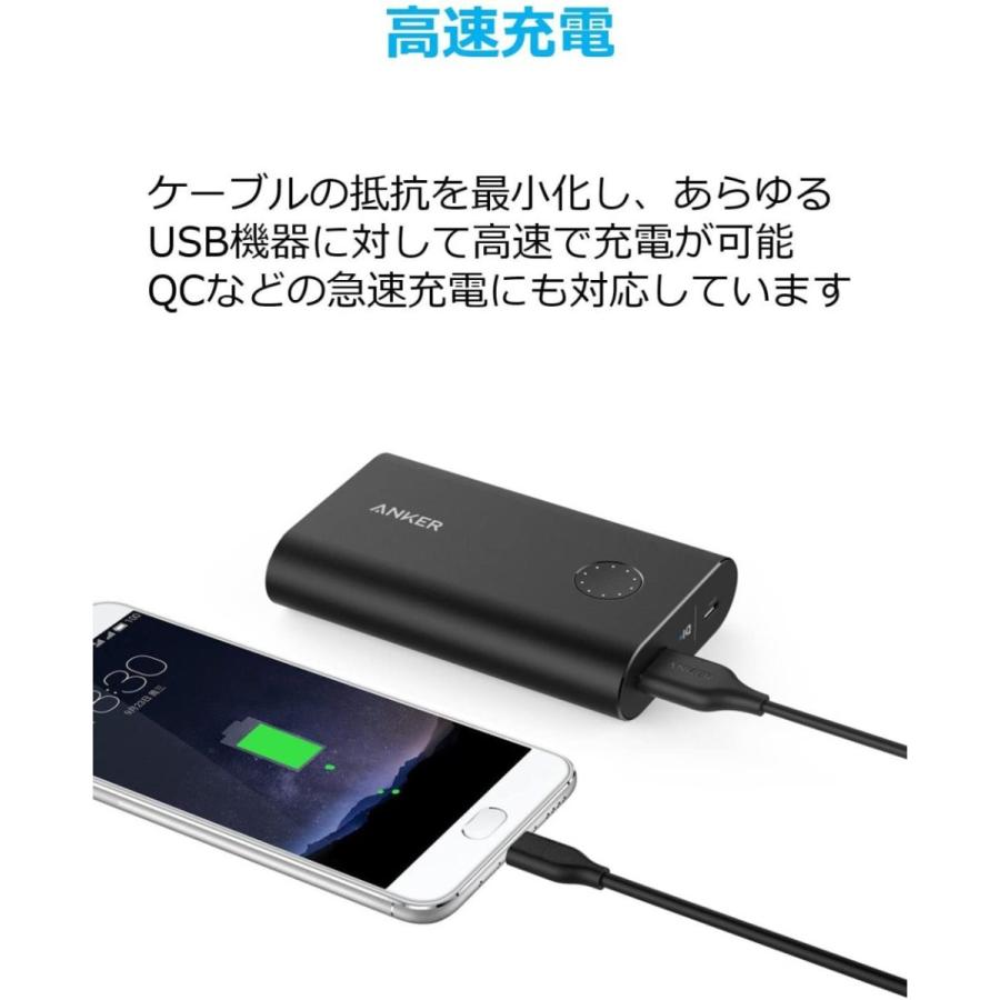 PowerLinePlus USB-C & USB-A 3.0 ケーブル 3