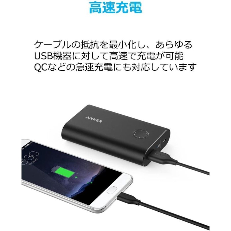 PowerLinePlus USB-C & USB-A 3.0 ケーブル 3