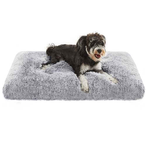 犬用ベッド 1