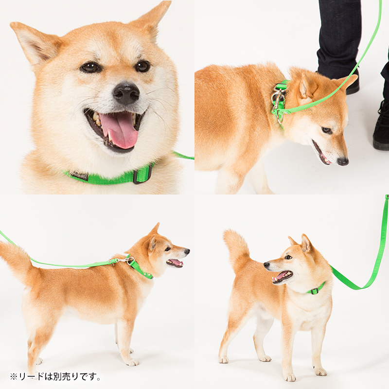 22年 犬用首輪のおすすめ人気ランキング40選 Mybest