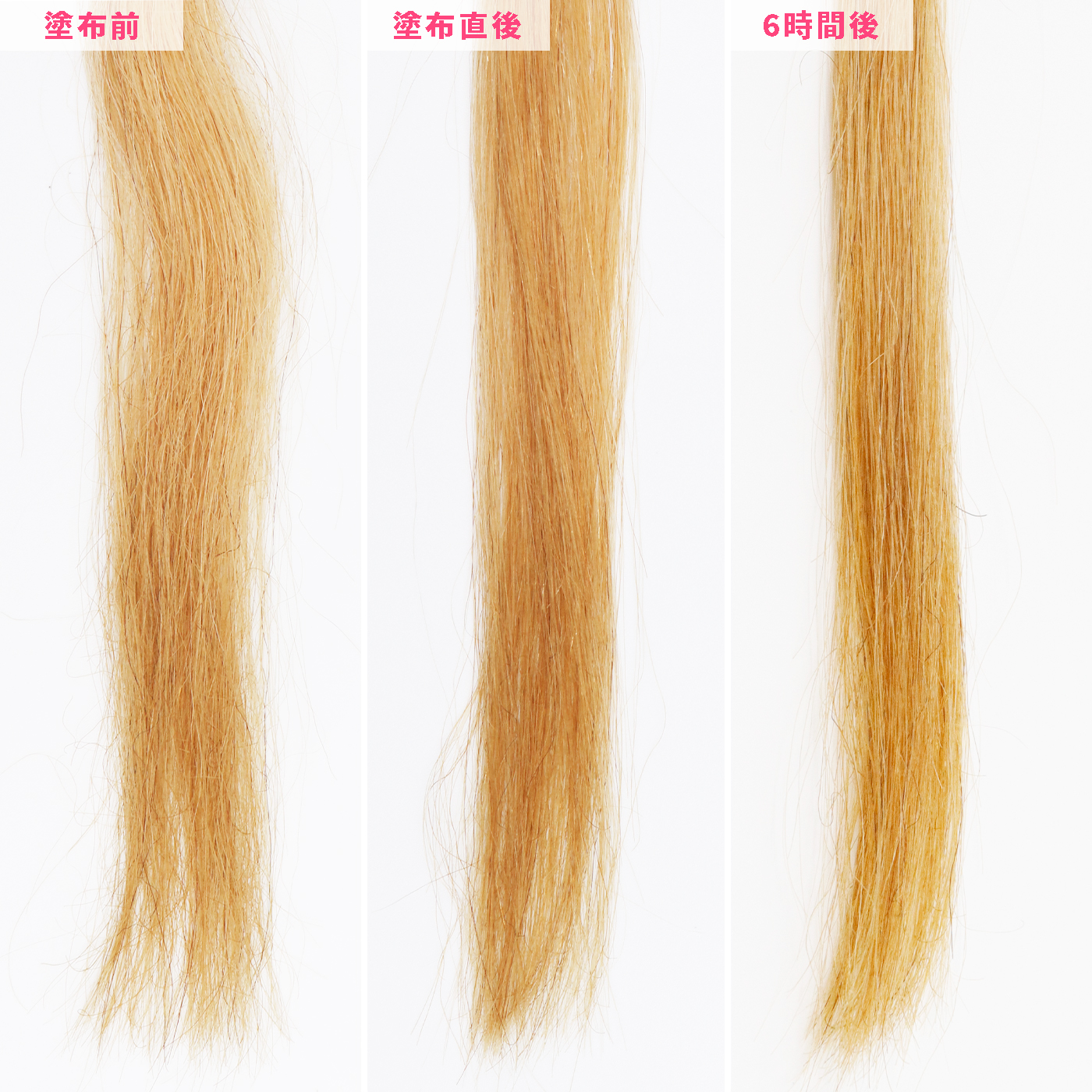 エッセンシャル フリー イージー コンディショナーを他商品と比較 口コミや評判を実際に使ってレビューしました Mybest