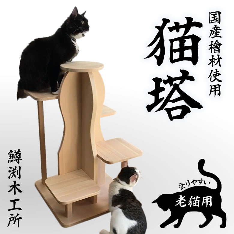 シニア用 キャットタワー サワロ 1