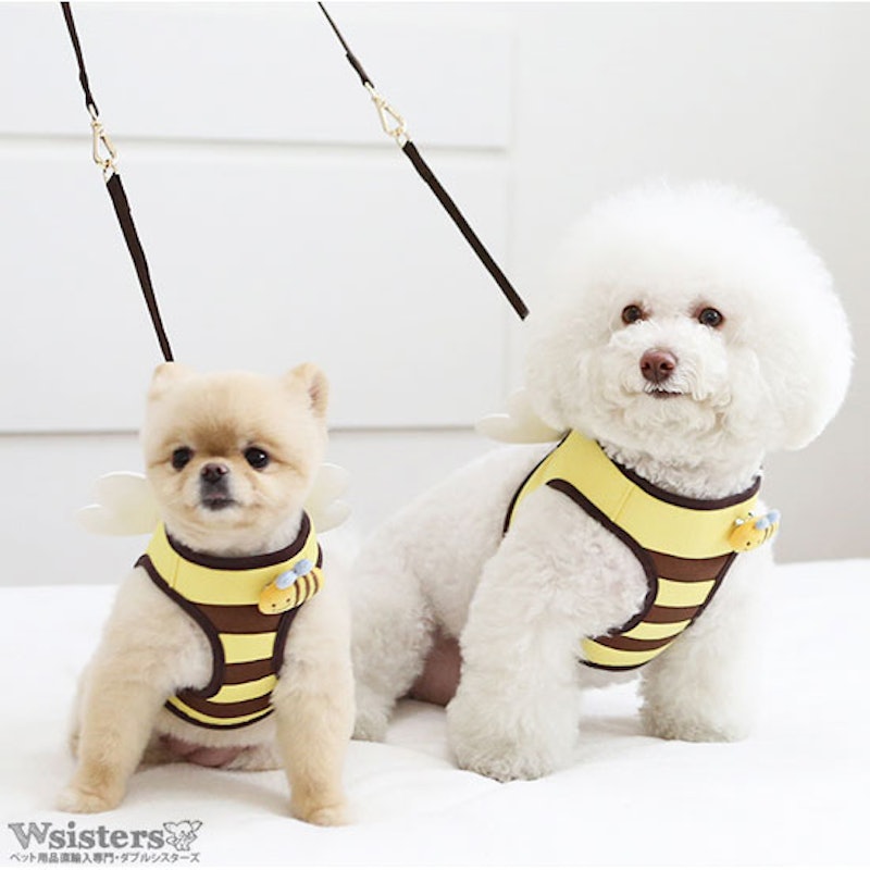 22年 かわいい犬用ハーネスのおすすめ人気ランキング40選 Mybest 22年 かわいい犬用ハーネスのおすすめ人気ランキング40選 Mybest