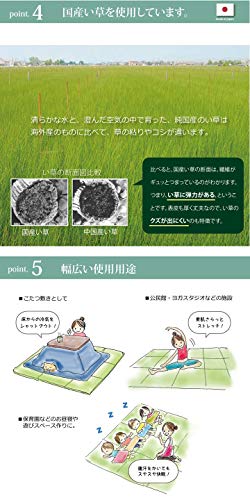 パタパタおき畳 6