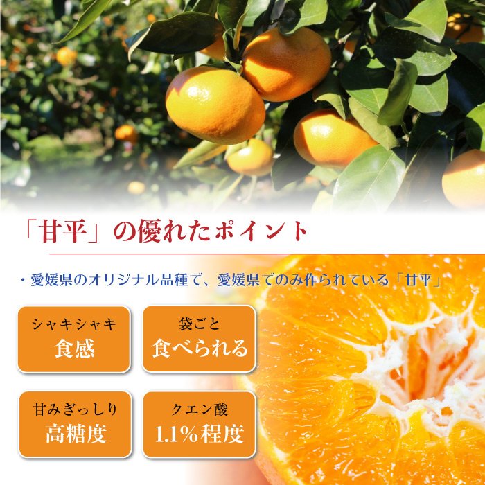 甘平 4