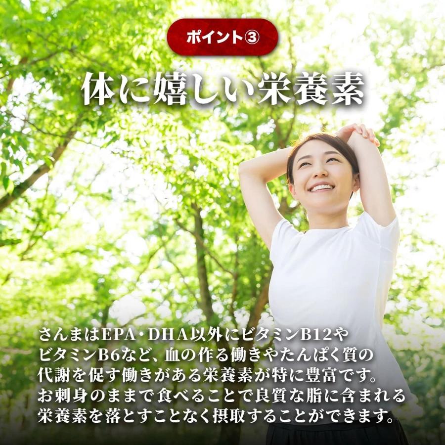  お刺身 さんま 4