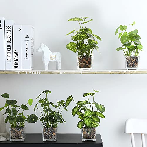 人工観葉植物 6