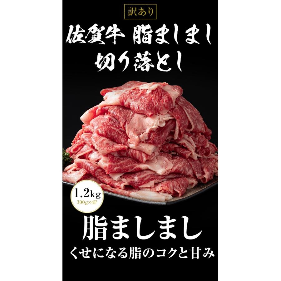 佐賀牛 脂ましまし切り落とし 2