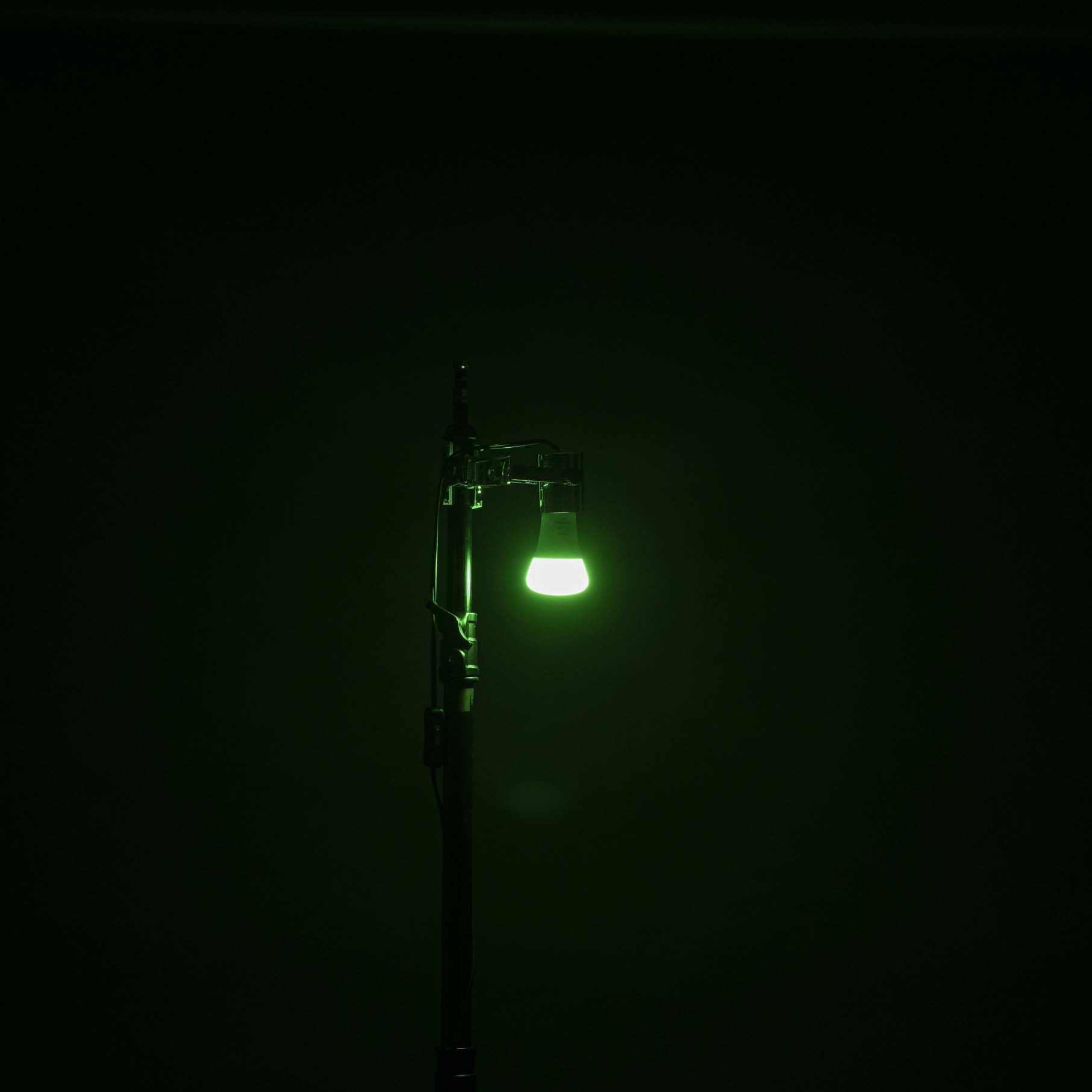 Hue 7