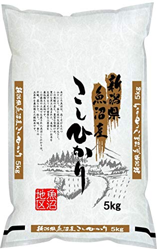 魚沼コシヒカリ 1