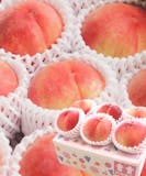 福島県産の桃のおすすめ人気ランキング【2026年10月】 5