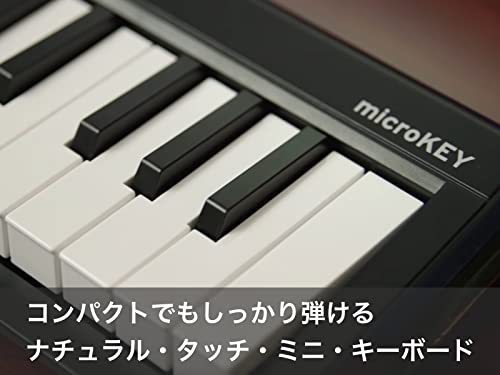 microKEY2 4