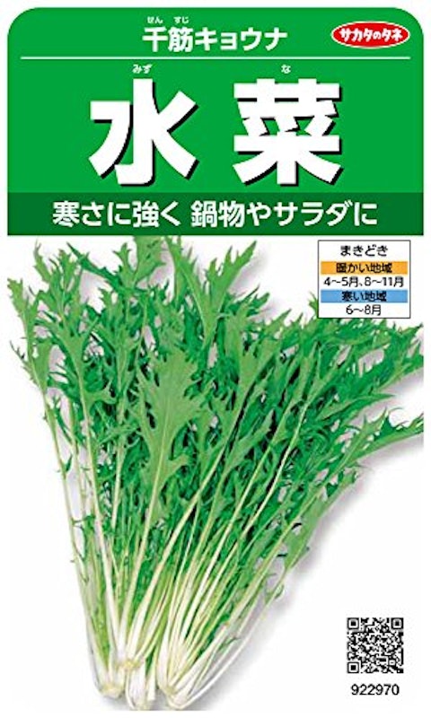 千筋キョウナ 1