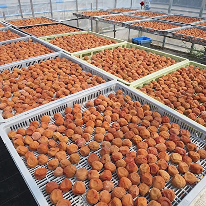 紀州南高梅 しそ梅干し 8