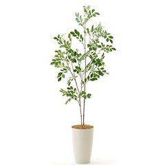 21年 光触媒で加工された観葉植物のおすすめ人気ランキング10選 Mybest 21年 光触媒で加工された観葉植物のおすすめ人気ランキング10選 Mybest