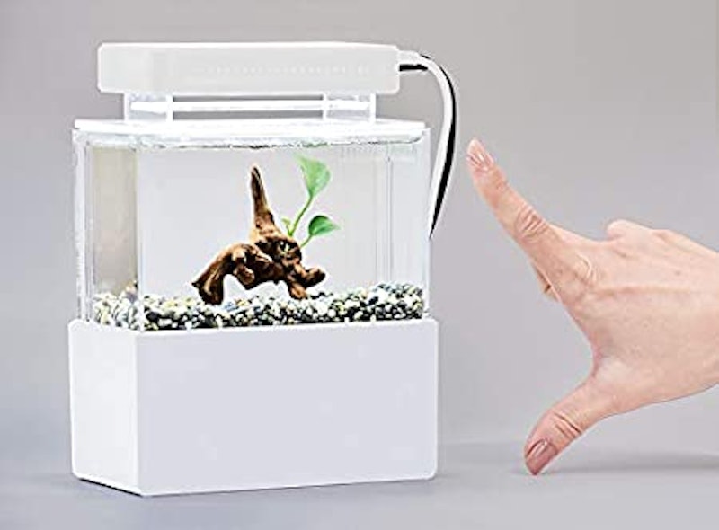 22年 オーバーフロー水槽のおすすめ人気ランキング12選 Mybest 22年 オーバーフロー水槽のおすすめ人気ランキング12選 Mybest