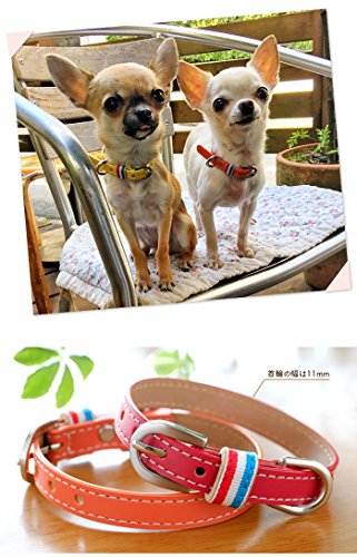 超小型犬・小型犬専用首輪 5