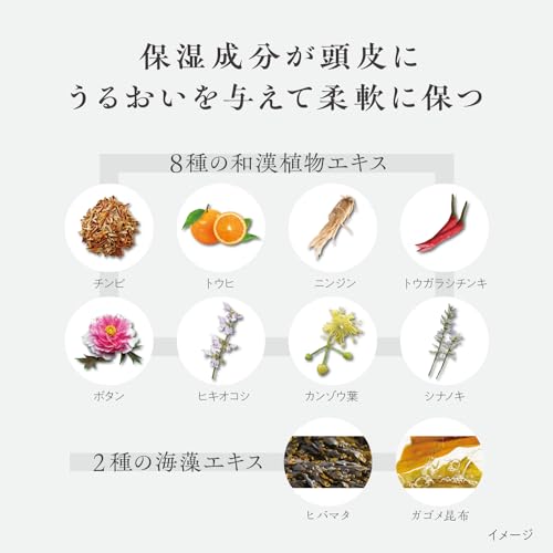 YANAGIYA1615 5