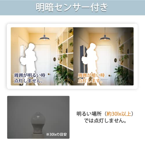 LED電球 4