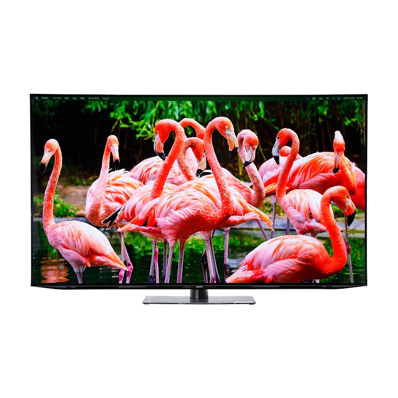 4K有機ELテレビ ES1ライン 1